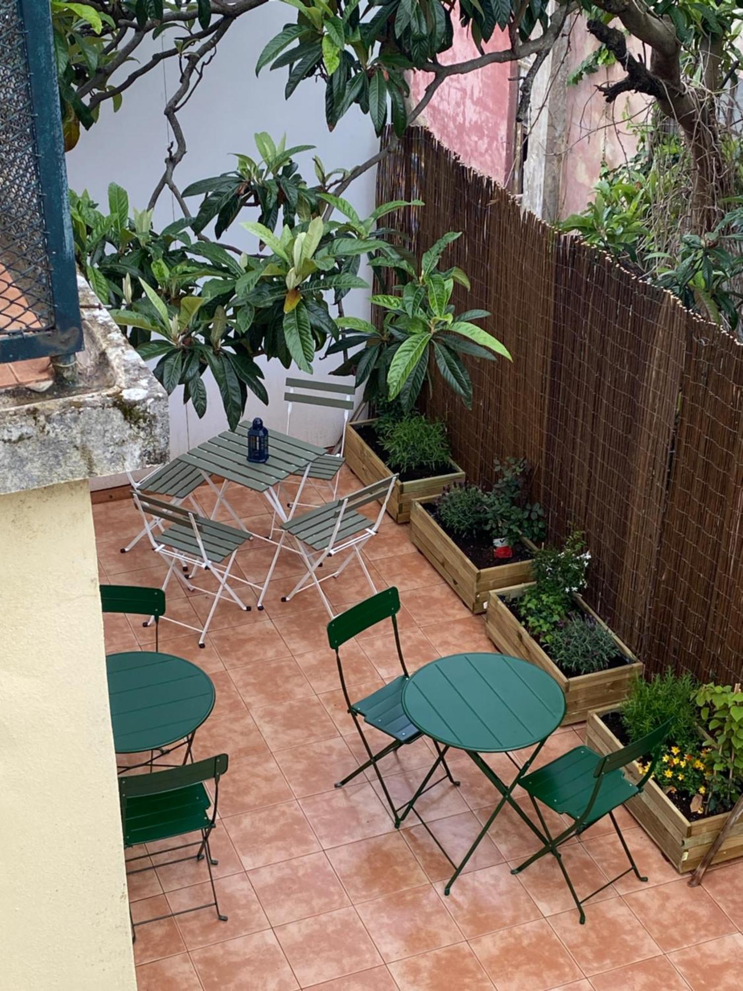 بيت شباب Terrace House Lisboa المظهر الخارجي الصورة